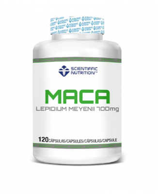 Maca